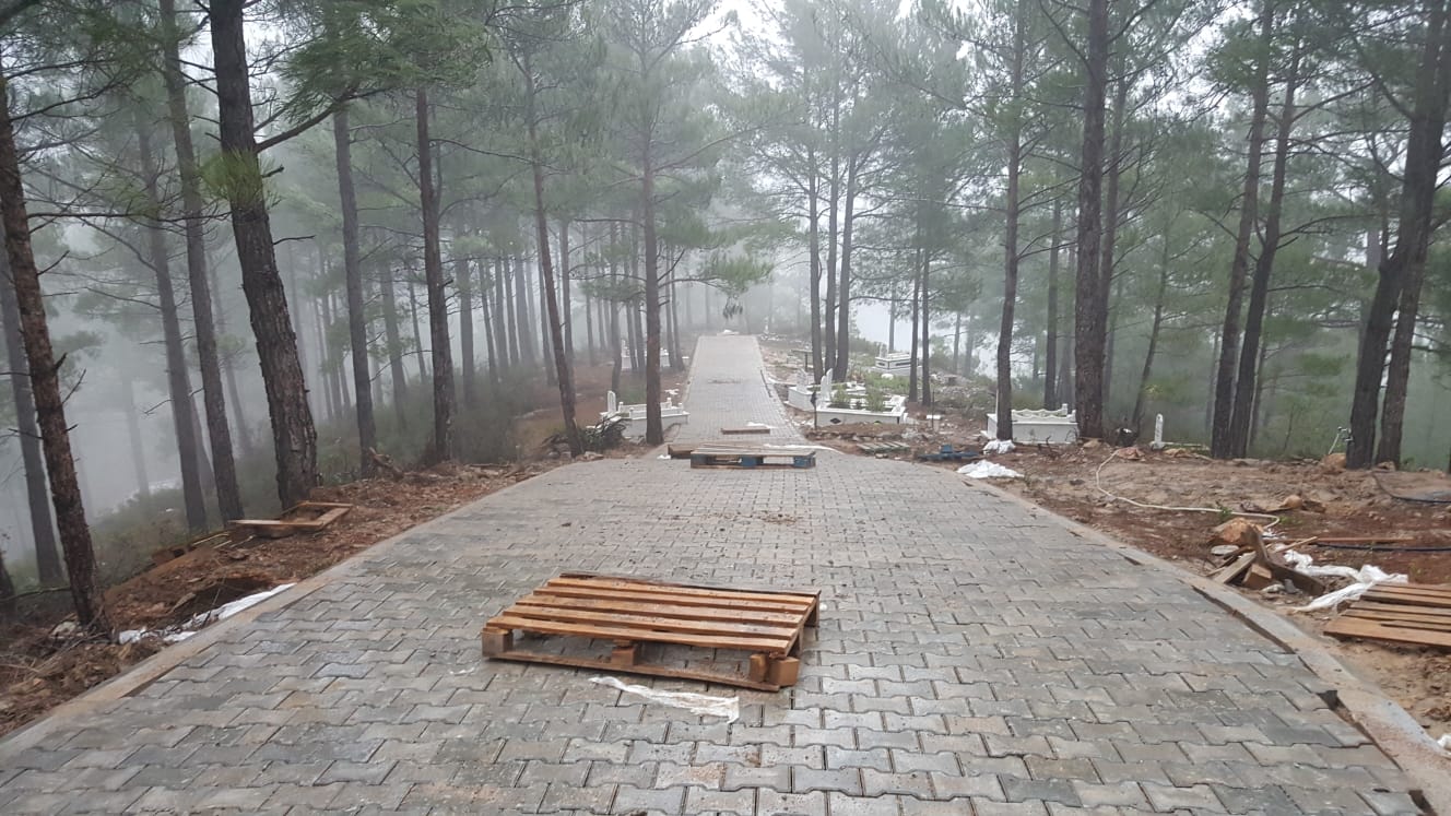 218d393d-ebd6-4091-bb86-c8c95a664340