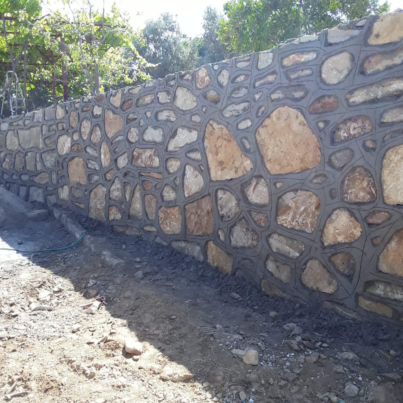 6577d0a2-4837-448b-9221-037bacc3ffd9