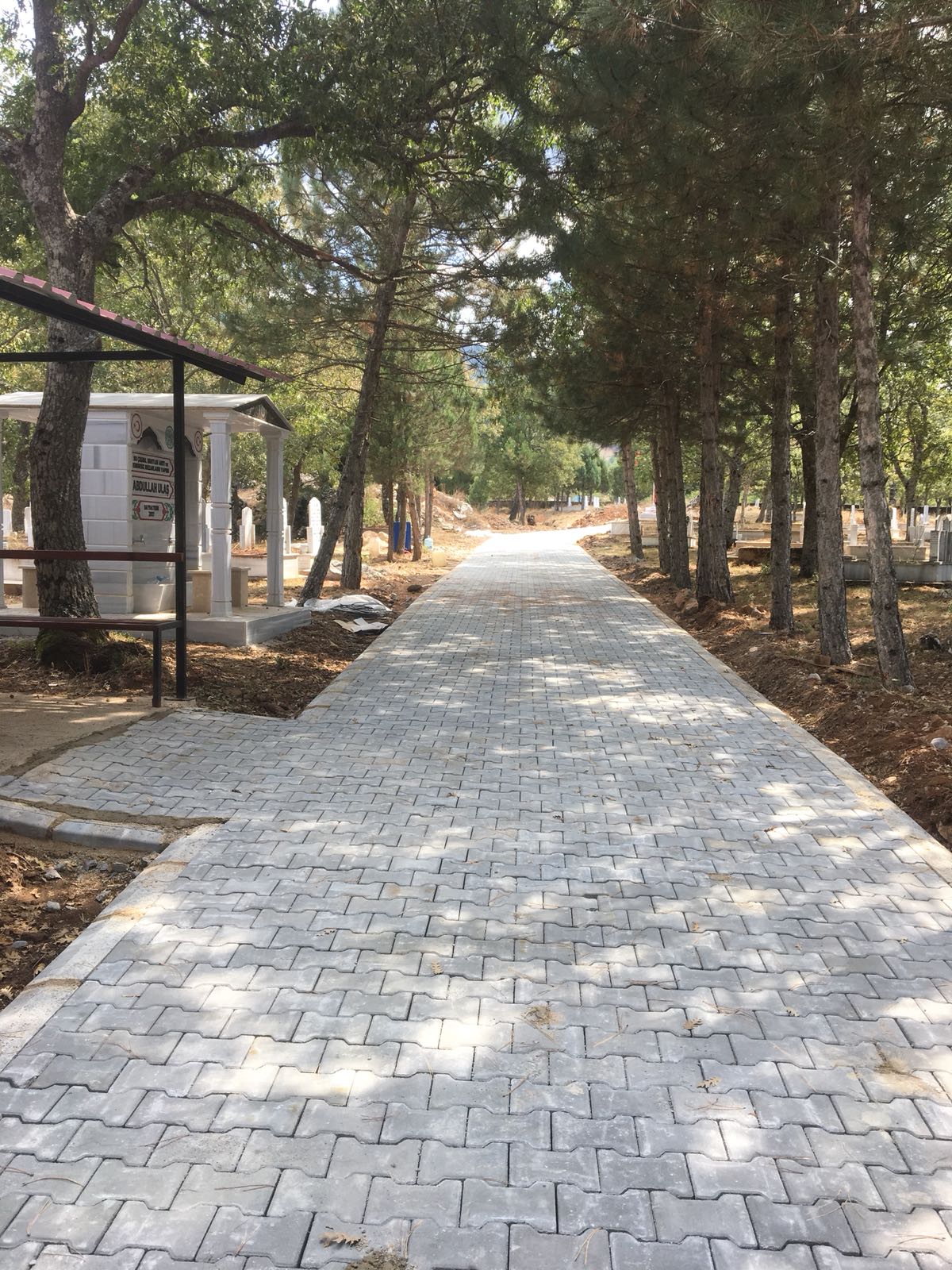 e26aea5c-d169-4e24-9b02-a0220228b3a1