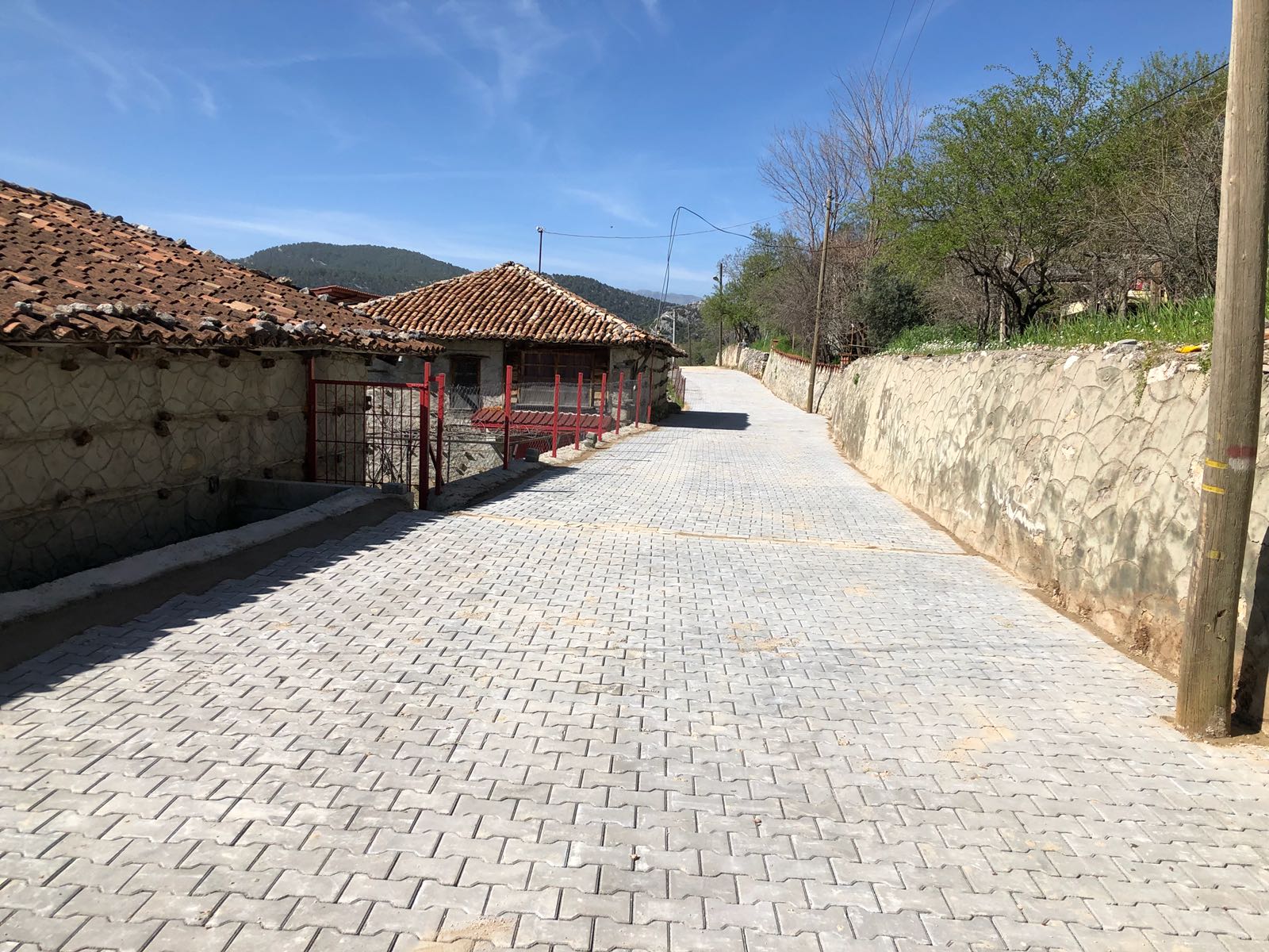 e5755bcb-7efa-4919-a074-69f698cfd7e1